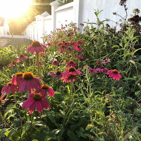 La Cotte Orchard Cottages フランシュホーク エクステリア 写真